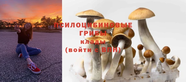 мет Слюдянка