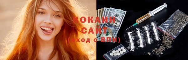 индика Снежинск