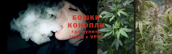 индика Снежинск