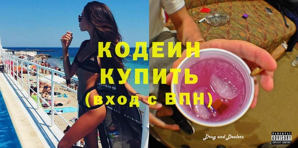 индика Снежинск
