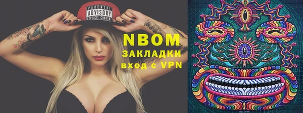индика Снежинск
