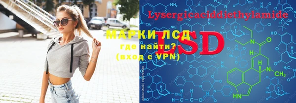 индика Снежинск