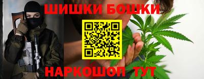СК Новокубанск
