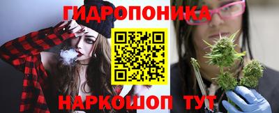 СК Новокубанск