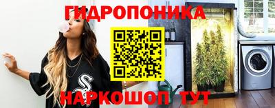PSILOCYBIN Новозыбков