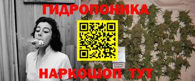 СК Новокубанск