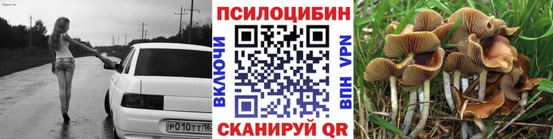 купить закладку Балтийск Псилоцибиновые грибы ЛСД