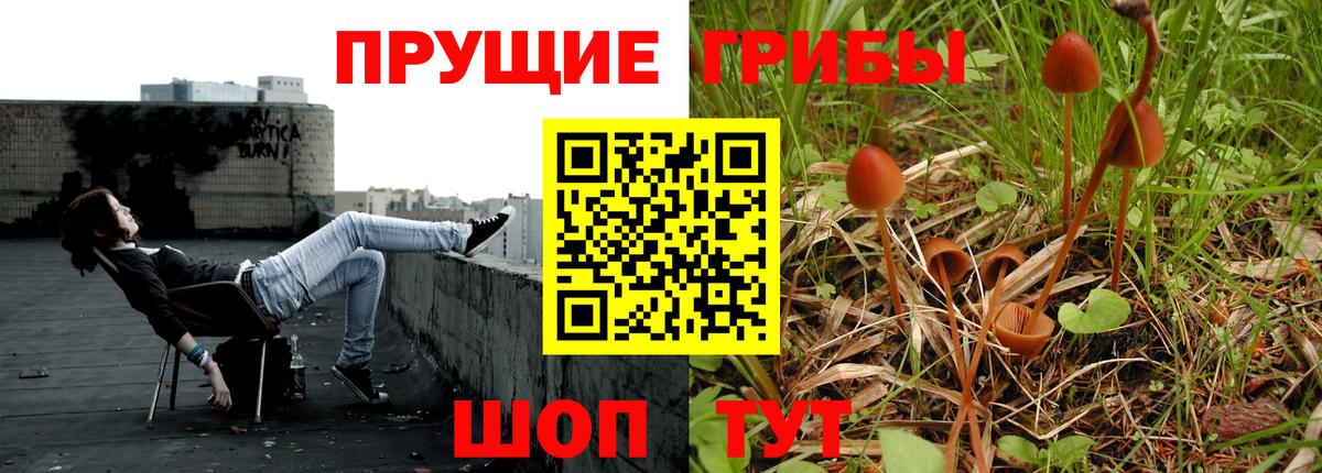 наркота  Вход с VPN  Балтийск  Галлюциногенные грибы Magic Shrooms 