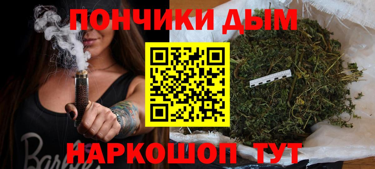 Канабис индика Балтийск